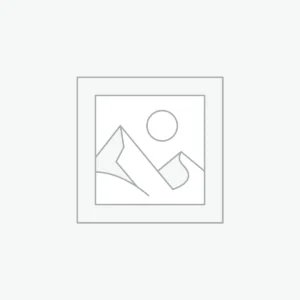 executive development